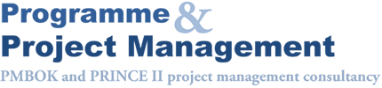 programme and project management services